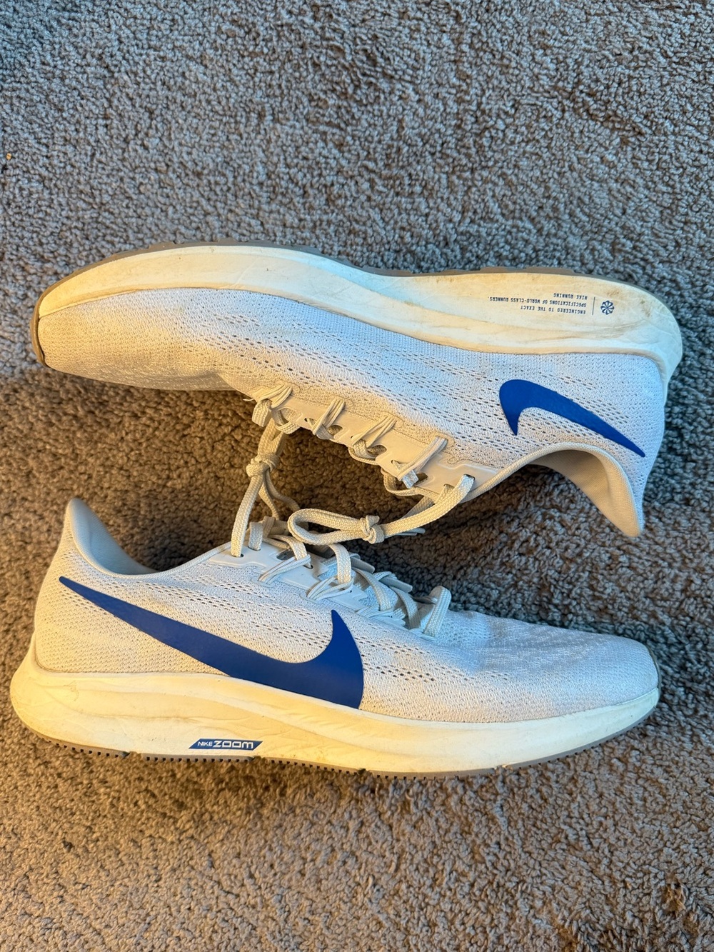 Nike Zoom Pegasus